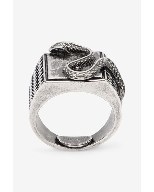 Roberto Cavalli Gray Serpentine Ring for men