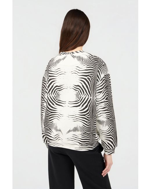 Roberto Cavalli Multicolor Zebra Print Sweatshirt