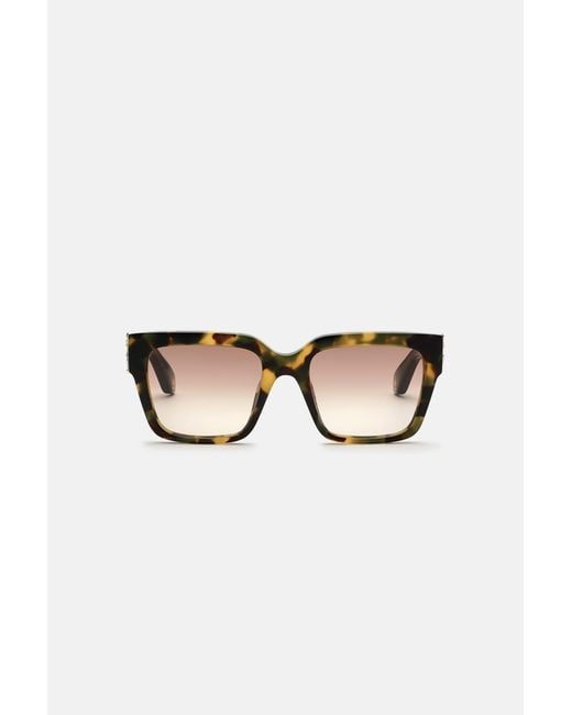Roberto Cavalli Brown Sunglasses Monogram Collection