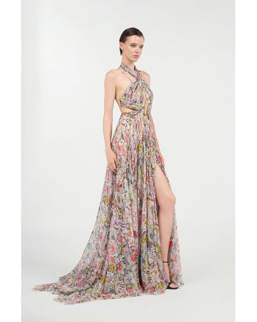 Roberto Cavalli Natural Long Chiffon Dress With Florentine Flowers Print
