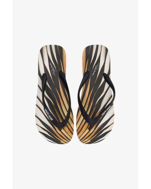 Roberto Cavalli Black Ray Of Flip Flops