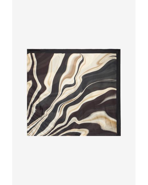 Roberto Cavalli Gray Zebra Print Scarf
