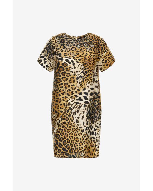 Roberto Cavalli Metallic Jaguar Skin Print Dress