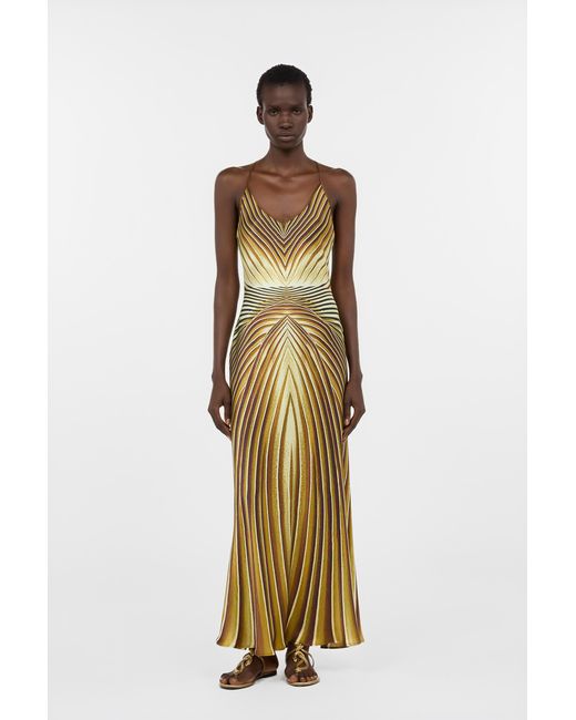 Roberto Cavalli Metallic Long Silk Dress With Iside Print