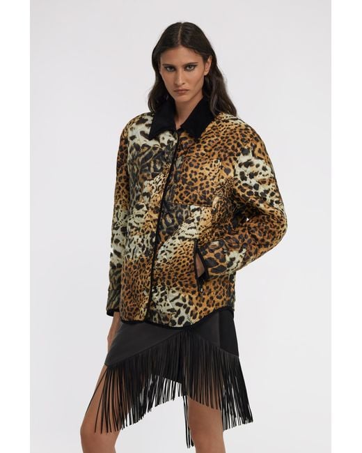 Roberto Cavalli Brown Leopard Printed Jacket