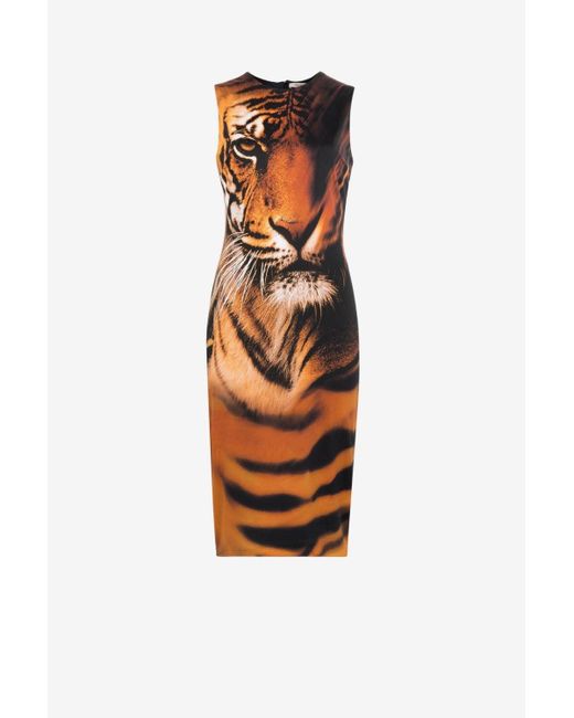 Roberto Cavalli White Tiger-print Dress