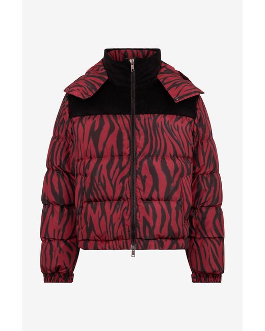 Roberto Cavalli Red Zebra Print Down Jacket for men