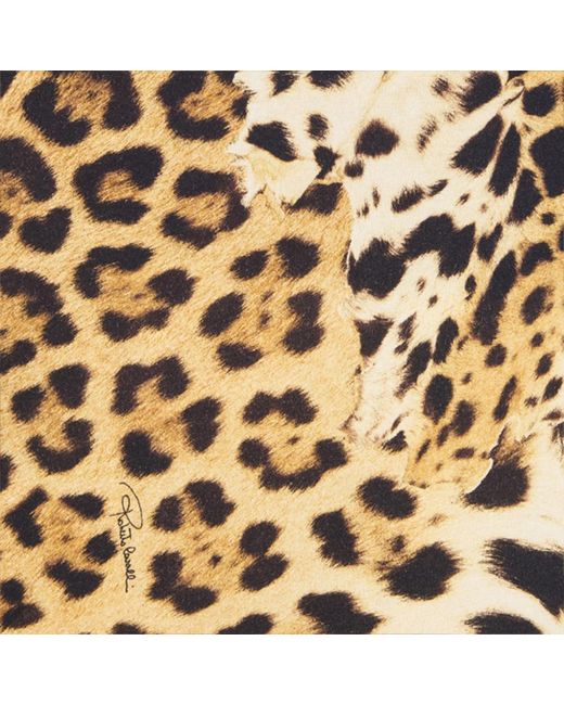 Roberto Cavalli Metallic Cotton T-Shirt With Leopard Print for men