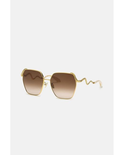 Roberto Cavalli Multicolor Sunglasses Snake Collection
