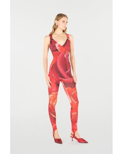 Roberto Cavalli Red Rose-Print Sleeveless Jumpsuit