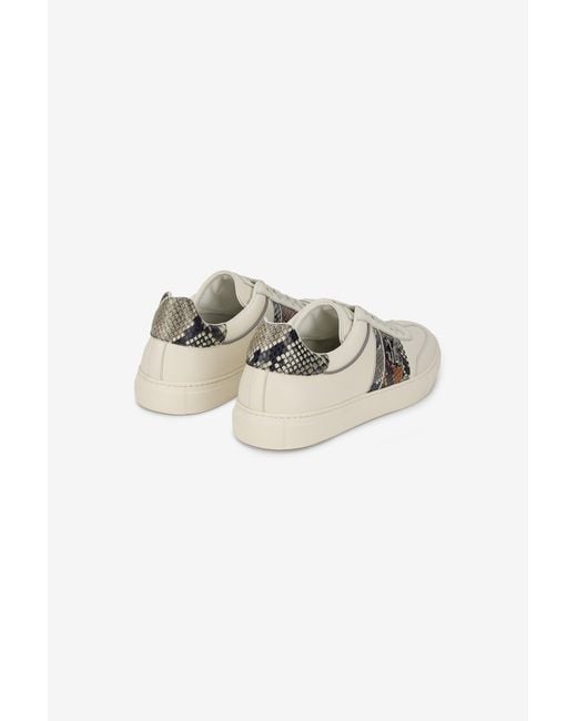 Roberto Cavalli Sneaker Aus Leder Mit Python-Print in Multicolor für Herren