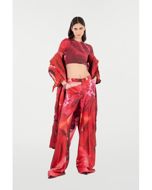 Roberto Cavalli Red Rose-Print Pants