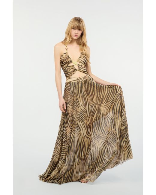 Roberto Cavalli Natural Extra-Long Dress With Tiger Skin Print