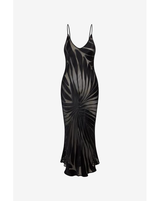 Roberto Cavalli Black Slip Dress With Ray Devoré Print