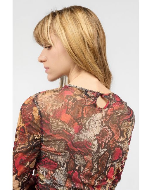 Roberto Cavalli White Sweater With Python Print
