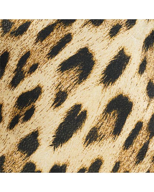 Roberto Cavalli Multicolor Leopard Print Palazzo Pants