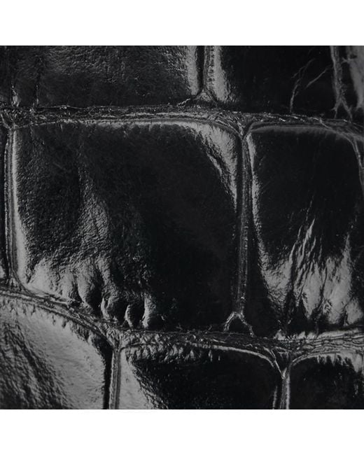 Roberto Cavalli Black Crocodile Scale-Effect Pumps