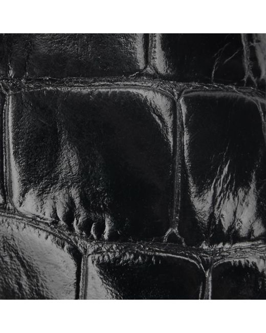 Roberto Cavalli Black Crocodile Scale-Effect Pumps