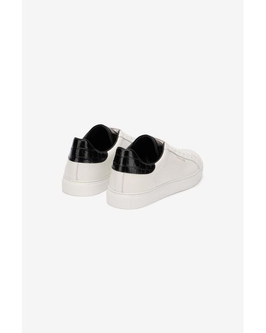 Roberto Cavalli Multicolor Low Top Sneakers for men