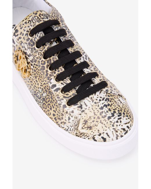 Roberto Cavalli Multicolor Leopard Print Sneaker With Monogram Rc