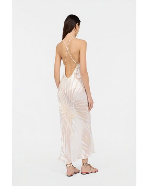 Vestido Slip Con Estampado Ray Devoré Roberto Cavalli de color White