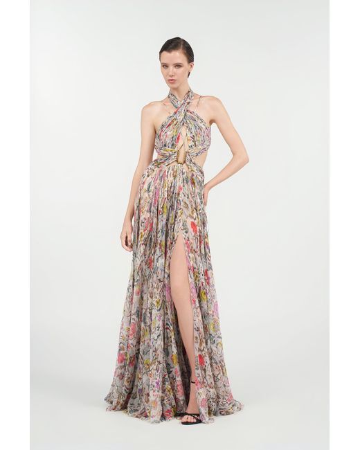 Roberto Cavalli Natural Long Chiffon Dress With Florentine Flowers Print