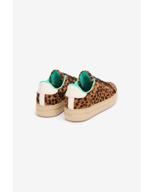 Roberto Cavalli Multicolor Sneakers With Jaguar Skin Print