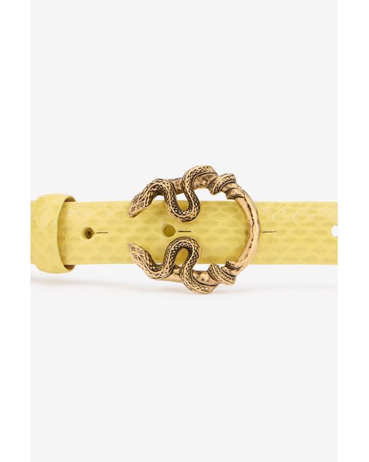 Roberto Cavalli Multicolor Leather Belt With Snake Buckle