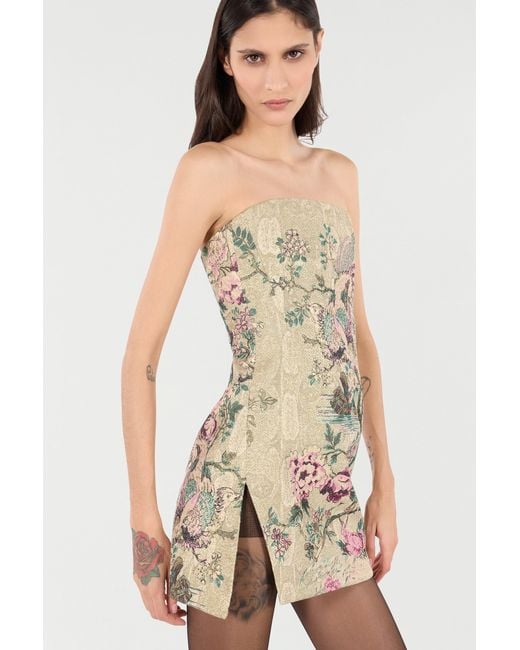 Roberto Cavalli Natural Mini Dress With Oriental Bird Print
