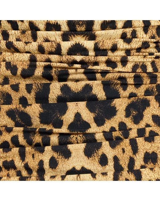Roberto Cavalli Brown Midi Dress With Jaguar Skin Print