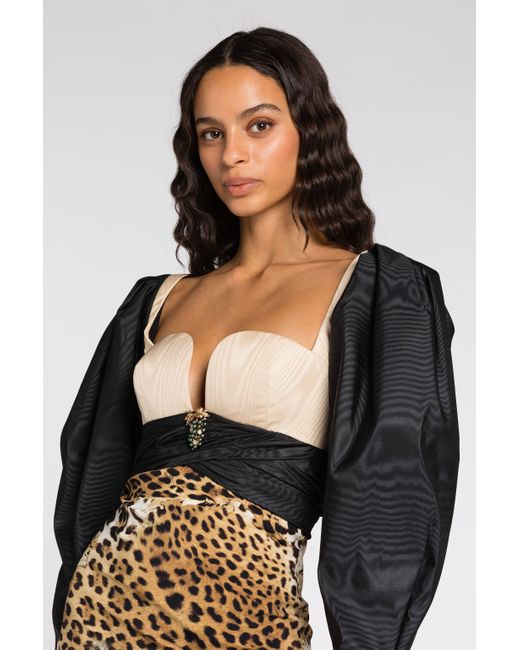 Roberto Cavalli Black Leopard Print Mini Dress
