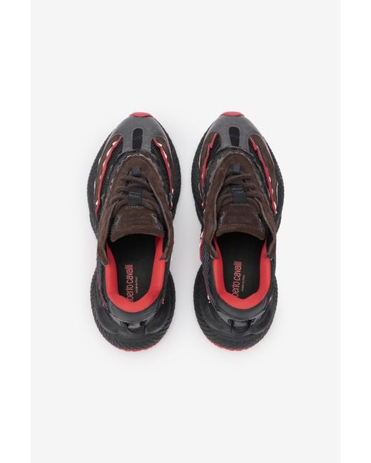 Roberto Cavalli Multicolor Serpentine Sneaker