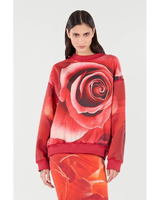Roberto Cavalli Red Sweatshirt With Maxi-Rose Print