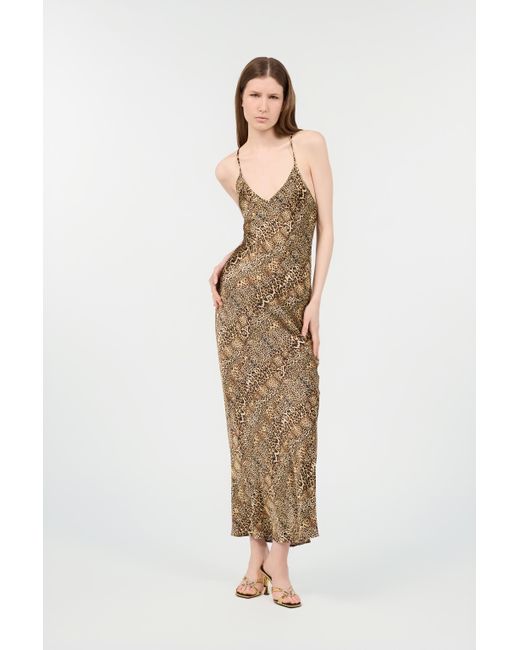 Roberto Cavalli Natural Silk Dress With Jaguar, Cheetah And Leopard Print