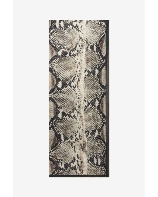 Roberto Cavalli Gray Seidentuch Mit Print Python
