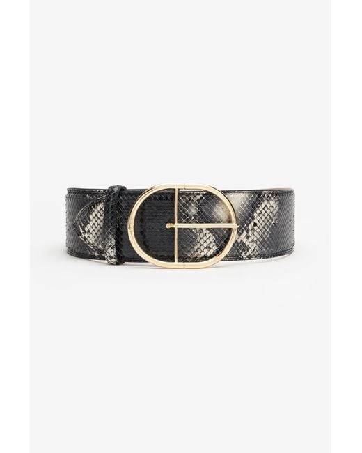 Roberto Cavalli Multicolor Shaped Belt