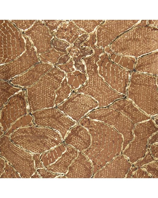 Roberto Cavalli Natural Robe Courte En Dentelle Brodée À Effet De Transparence
