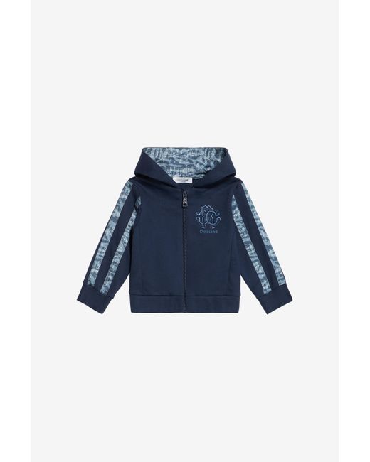 Felpa Con Cappuccio E Bande Logate di Roberto Cavalli in Blue da Uomo
