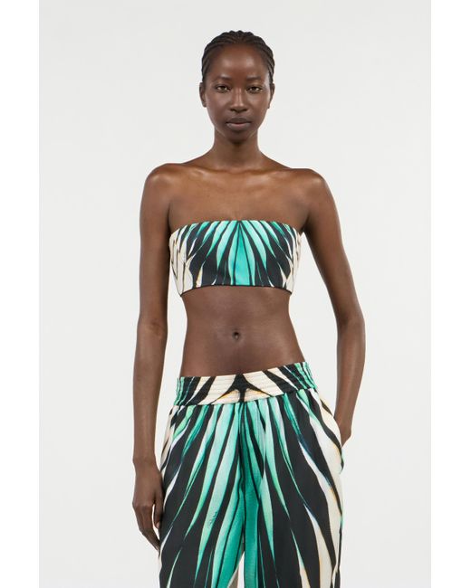Haut Bandeau Imprimé Ray Of Sea Roberto Cavalli en coloris Green
