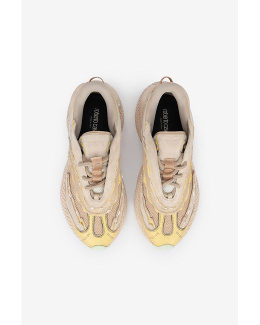 Roberto Cavalli White Serpentine Sneaker