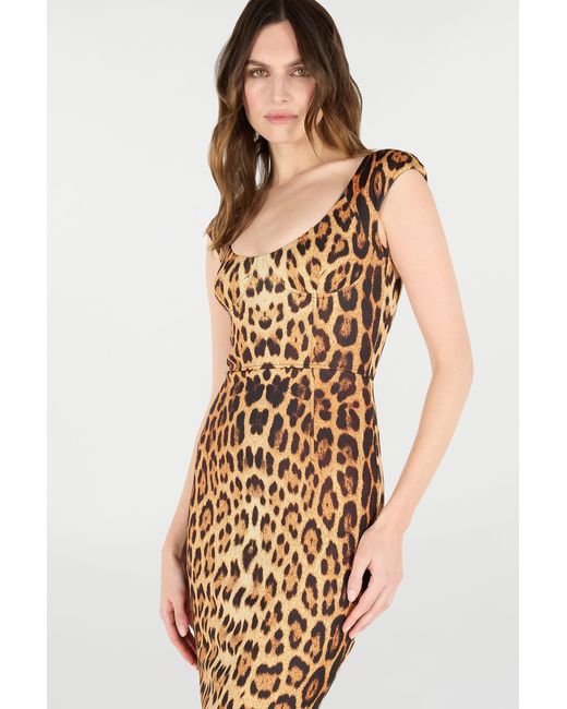 Roberto Cavalli Metallic Midi Dress With Jaguar Skin Print