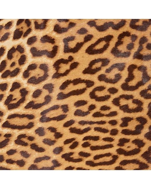 Roberto Cavalli Natural Leather Miniskirt With Leopard Skin Print