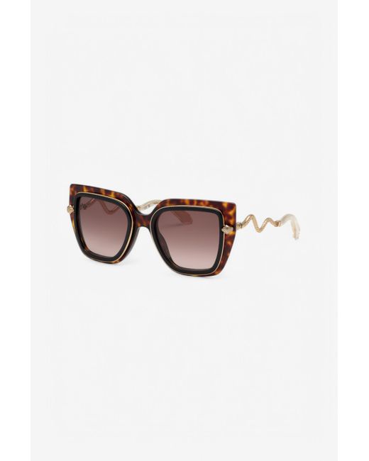 Roberto Cavalli Multicolor Wide And Feminine Front Sunglasses With Double Ring Decoration