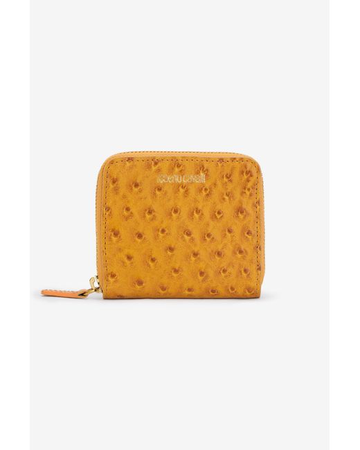 Roberto Cavalli Multicolor Small Ostrich-Effect Wallet