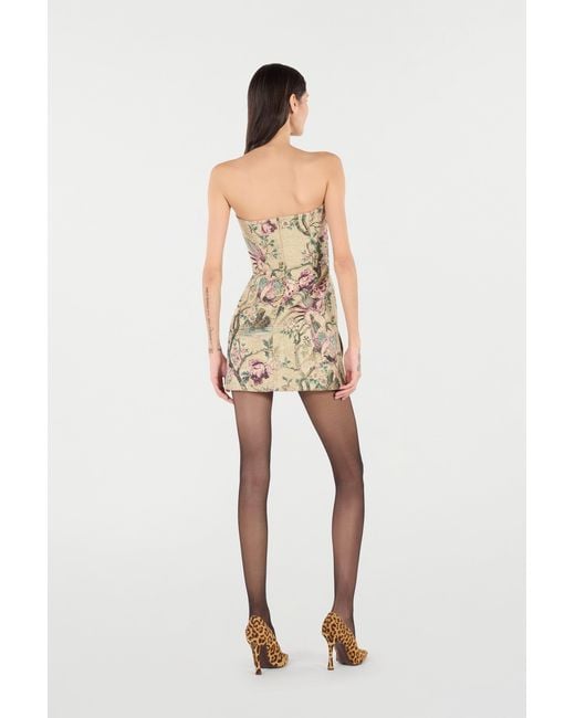 Roberto Cavalli Natural Mini Dress With Oriental Bird Print