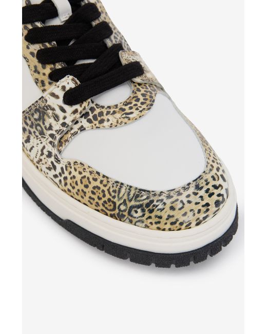 Sneaker À Imprimé Léopard Avec Monogram Rc Roberto Cavalli en coloris Multicolor