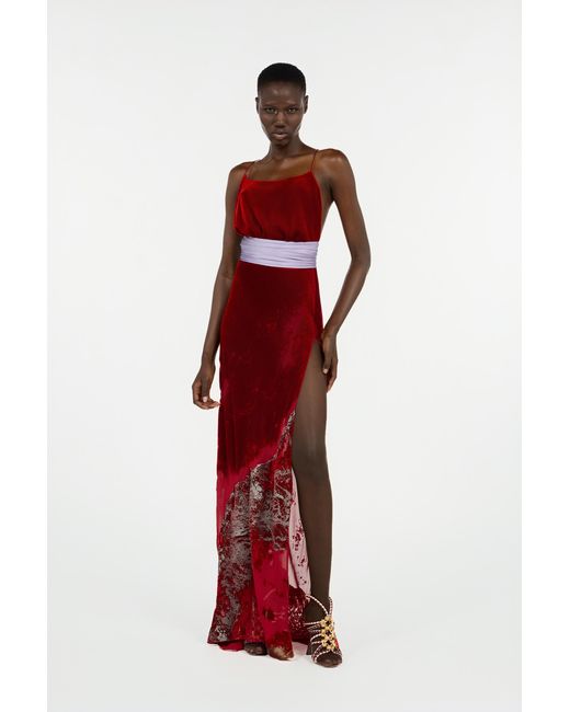 Roberto Cavalli Red Long Dark Dress With Marine Print