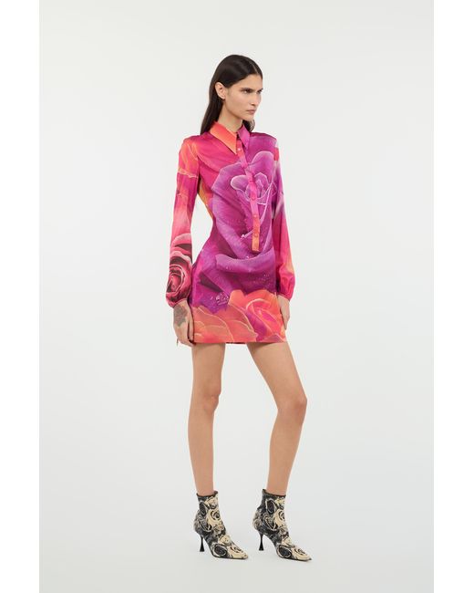 Roberto Cavalli Pink Mini Dress With Garden Rose Print
