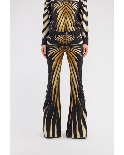 Roberto Cavalli Multicolor Flared Jeans With Ray Of Print