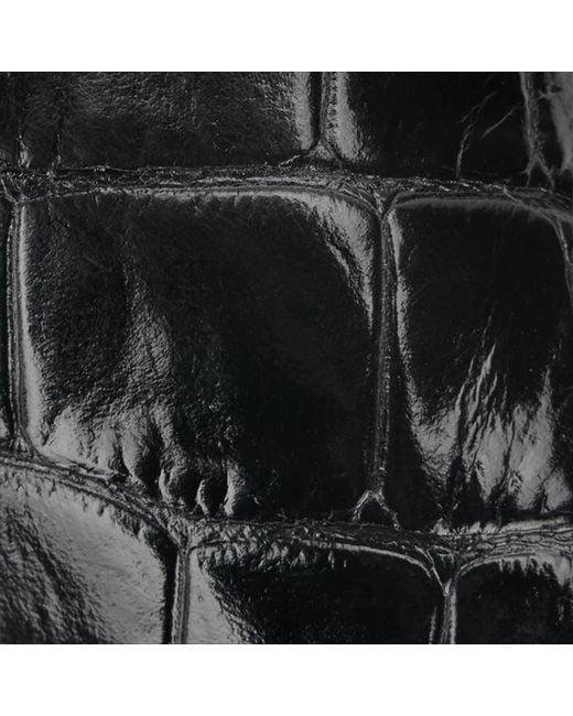 Roberto Cavalli Black Crocodile Scale-Effect Pumps